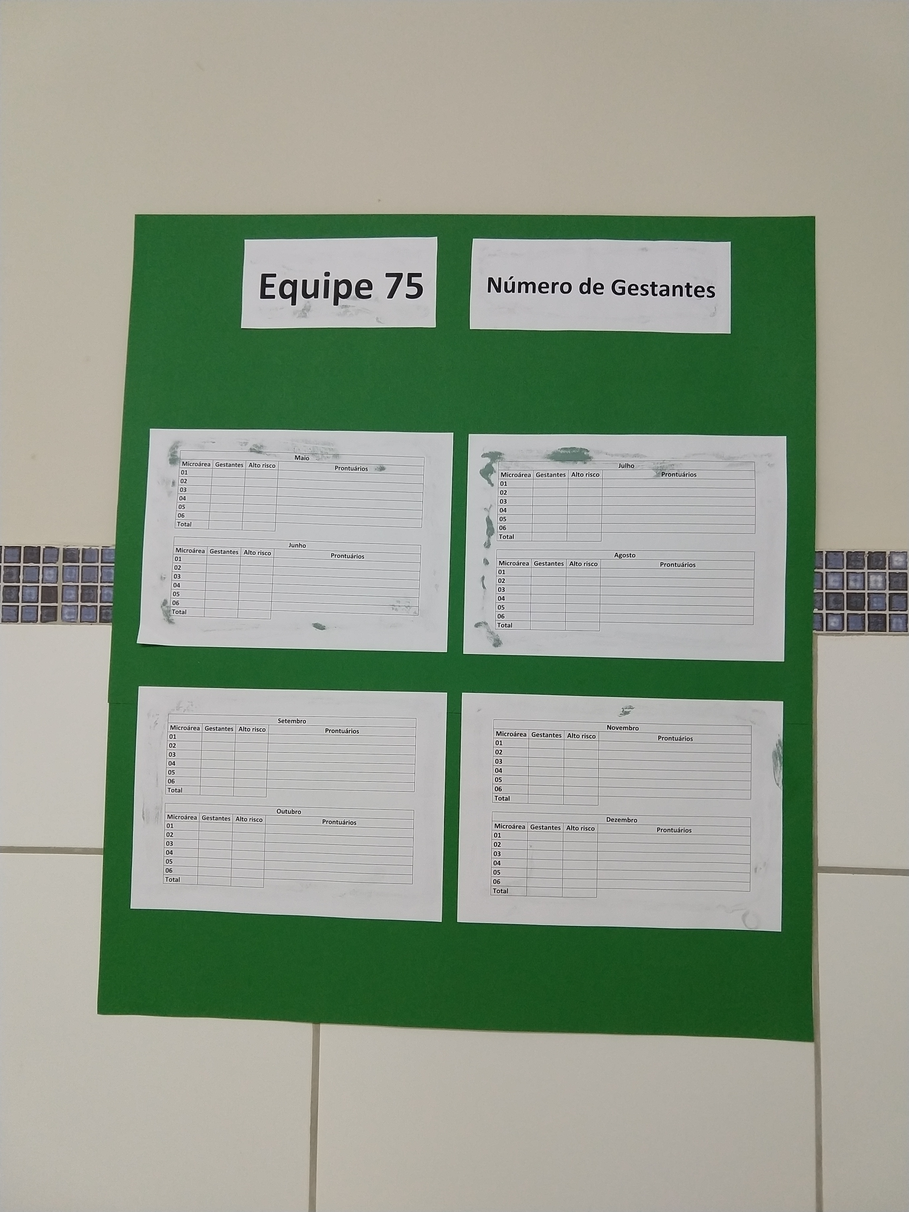 Figura 3: Instrumento de microintervenção