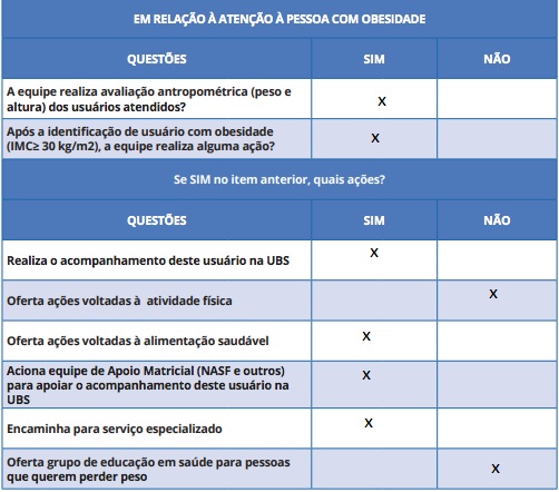 Figura 2. Questionário para diagnóstico da atenção a saúde aos usuários com obesidade.